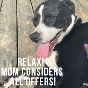 ALL OFFERS WELCOMED!!